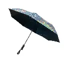 c22c60349630d68.webp